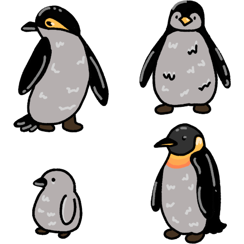 A emperor penguin  a cartoon penguin, a baby penguin, and a king penguin